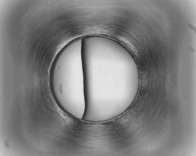 X0000094211031200710260929