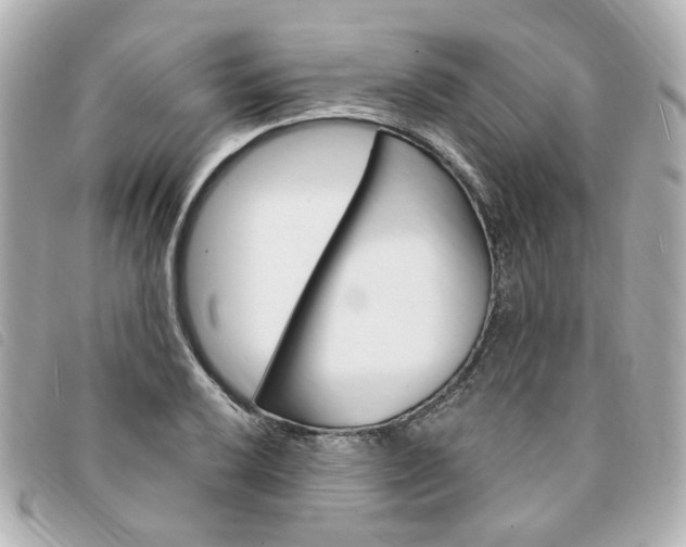 X0000094211032200710260929