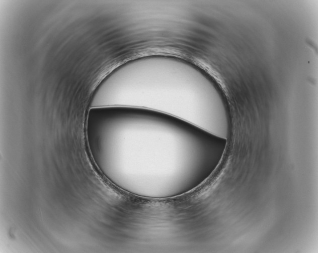 X0000094211033200710260929