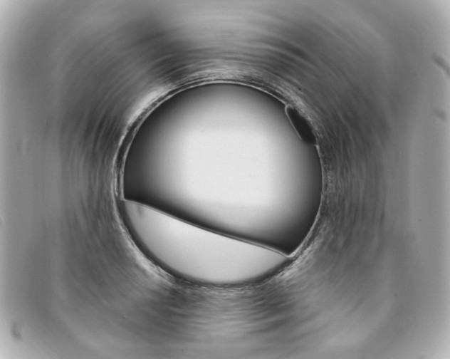X0000094211034200710260929