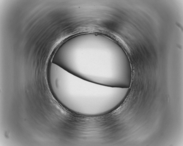 X0000094211035200710260929