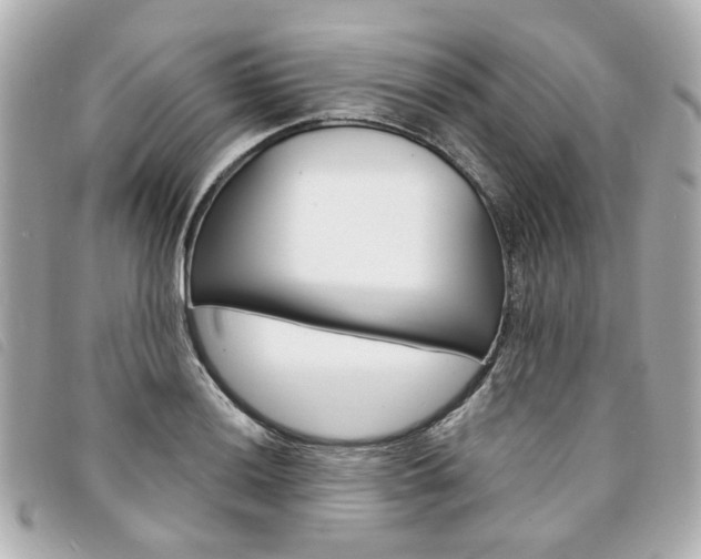 X0000094211036200710260929