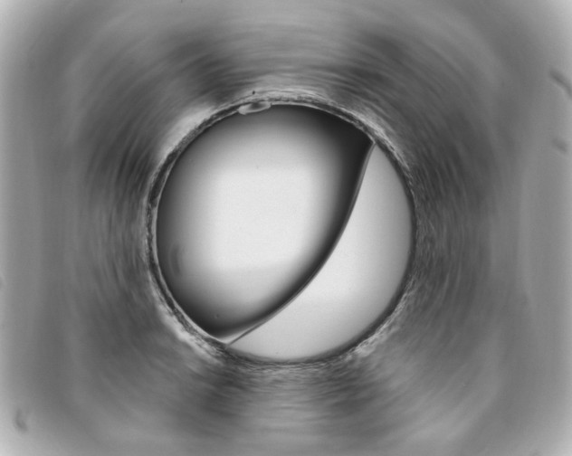 X0000094211038200710260929