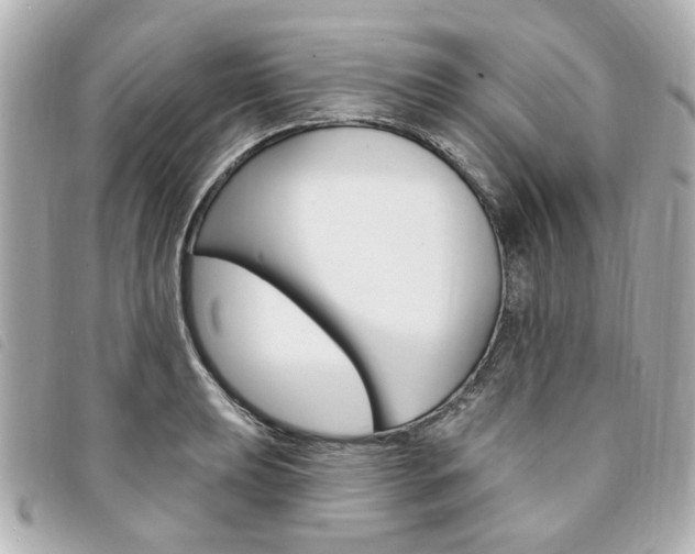 X0000094211039200710260929