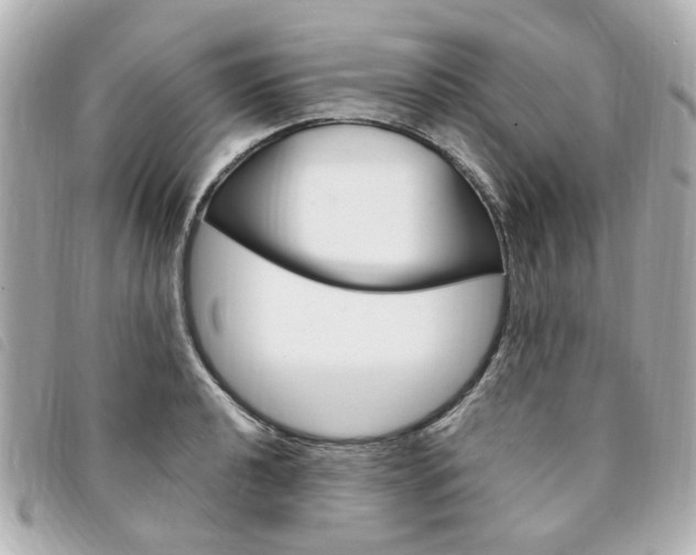 X0000094211040200710260929
