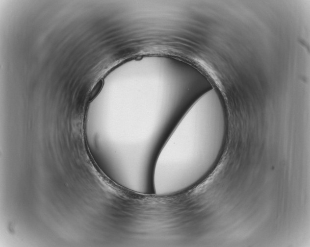 X0000094211041200710260929