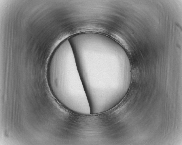X0000094211043200710260929