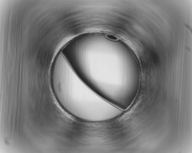 X0000094211045200710260929