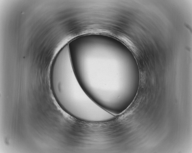 X0000094211046200710260929