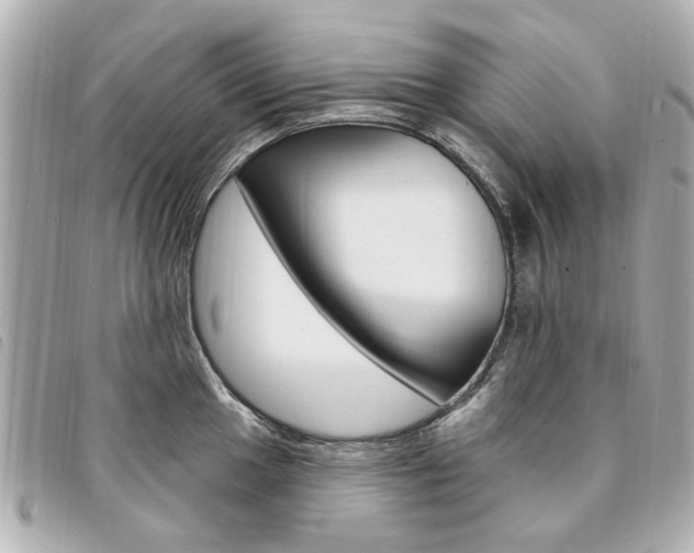 X0000094211049200710260929