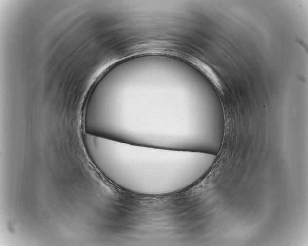 X0000094211051200710260929