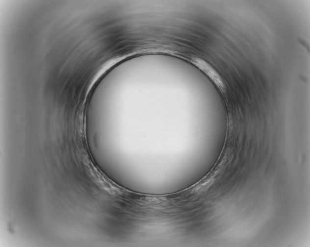 X0000094211052200710260929