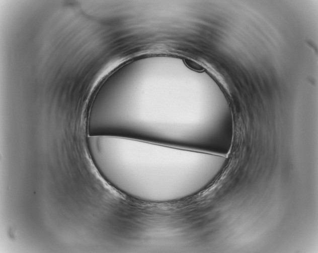 X0000094211053200710260929