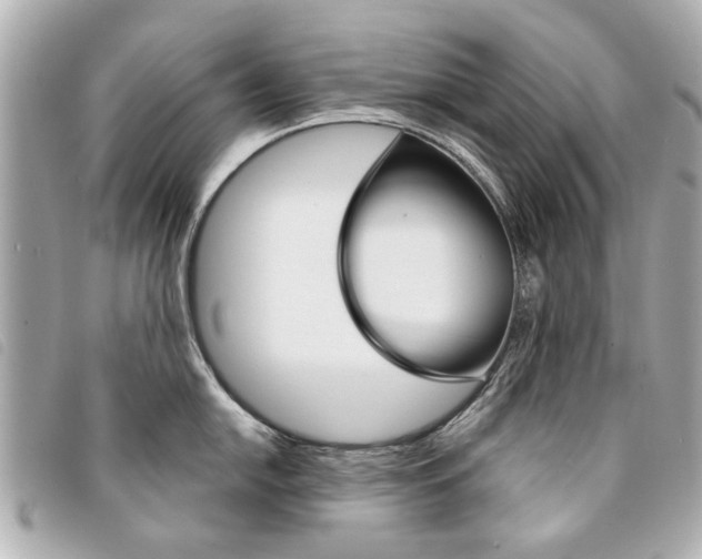 X0000094211054200710260929