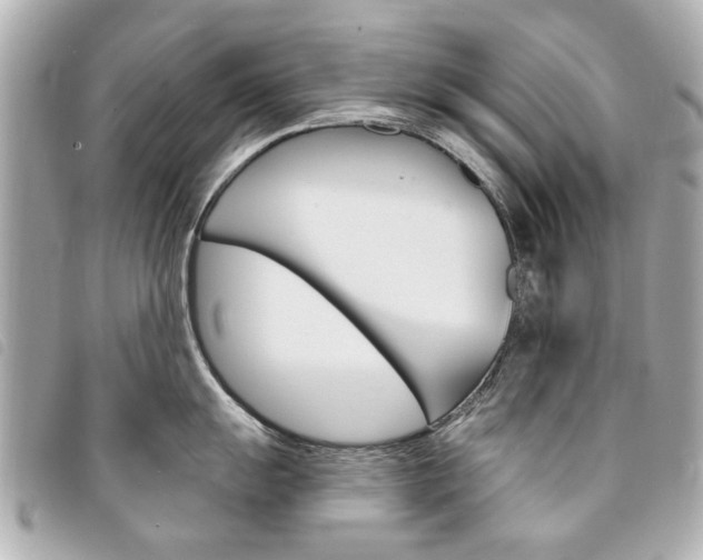 X0000094211055200710260929