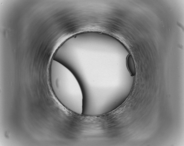 X0000094211056200710260929