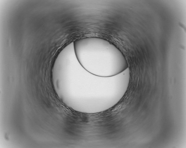 X0000094211057200710260929