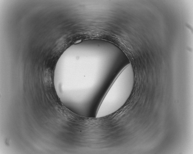 X0000094211058200710260929