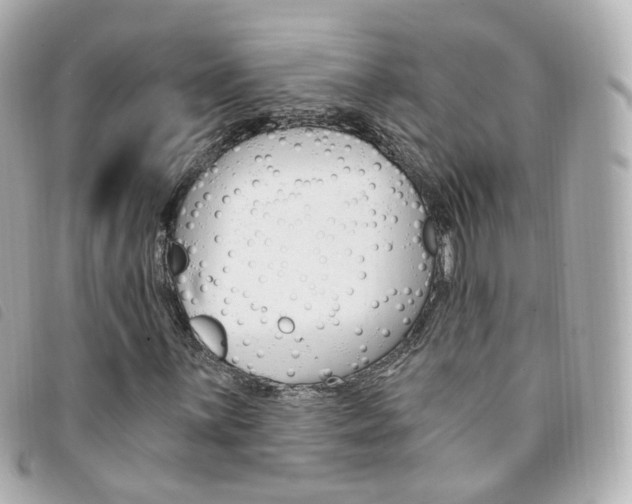 X0000094211059200710260929