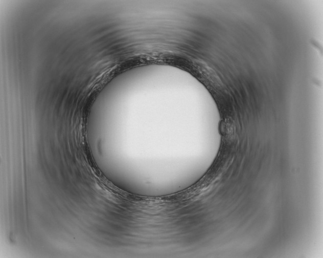 X0000094211060200710260929