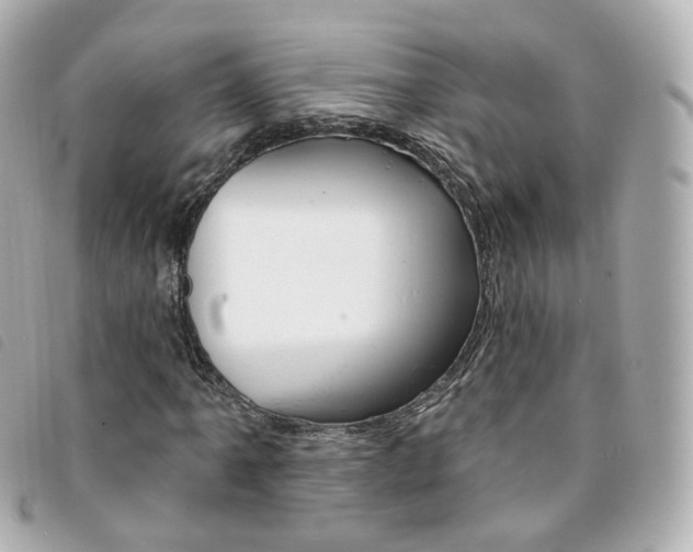 X0000094211061200710260929