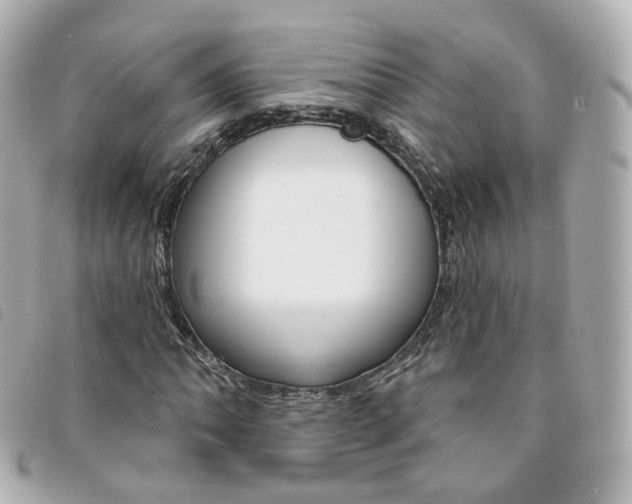 X0000094211062200710260929