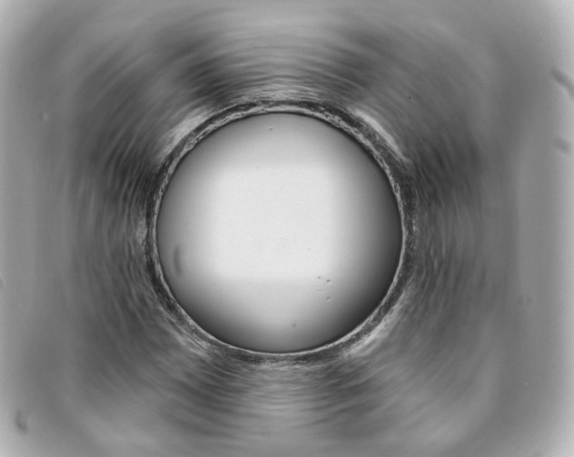 X0000094211065200710260928