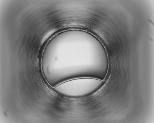 X0000094211066200710260928