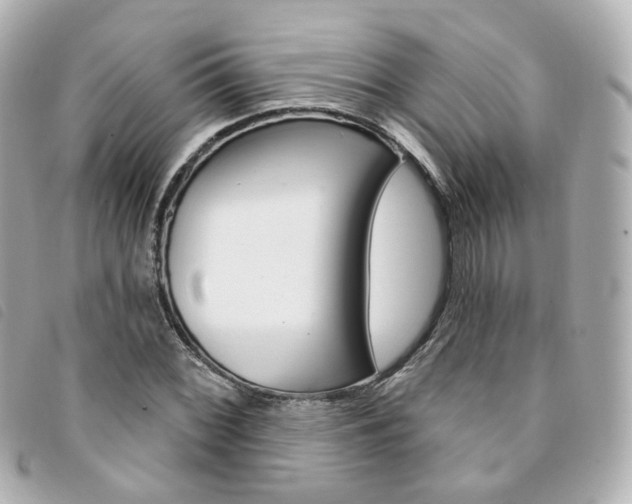 X0000094211068200710260928