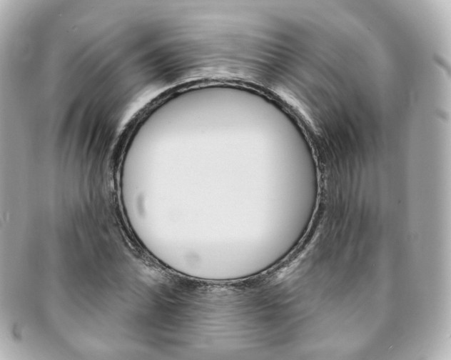 X0000094211070200710260928