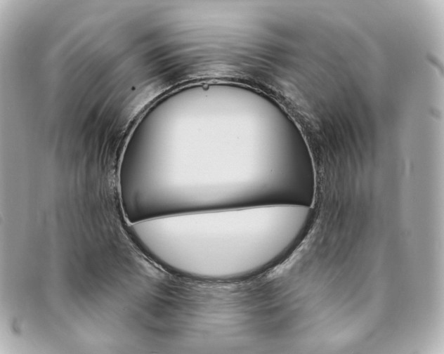 X0000094211073200710260928