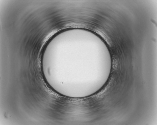 X0000094211074200710260928