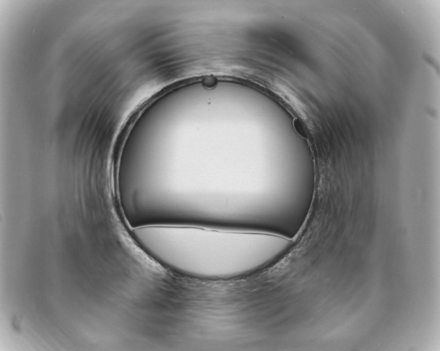 X0000094211080200710260928