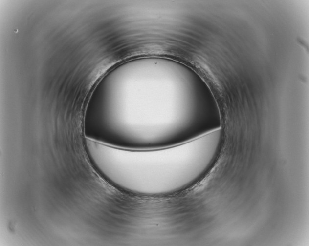 X0000094211081200710260928