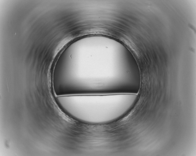 X0000094211082200710260928