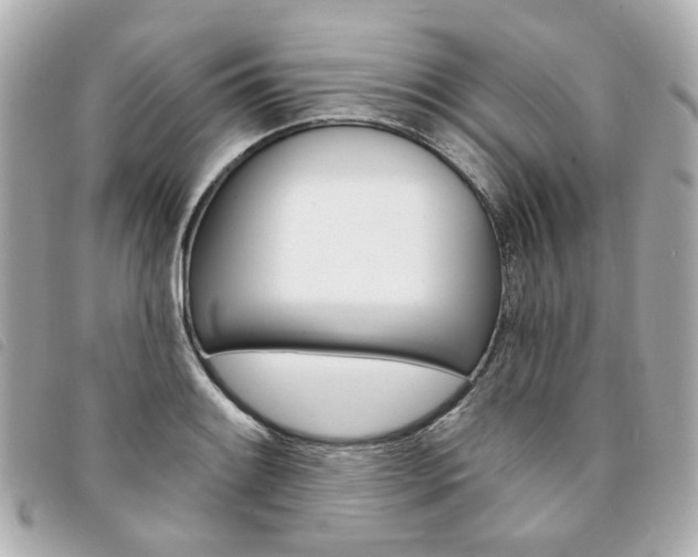 X0000094211084200710260928