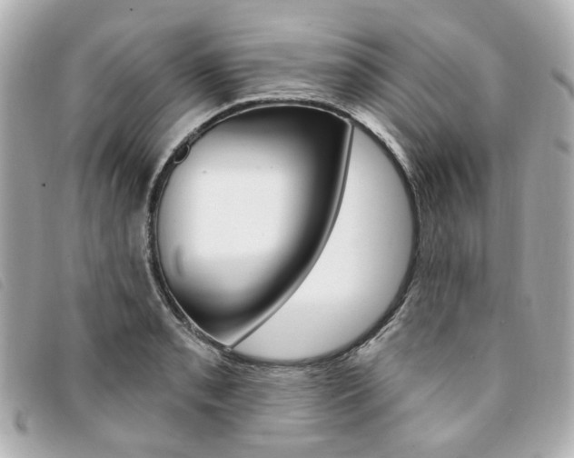 X0000094211085200710260928