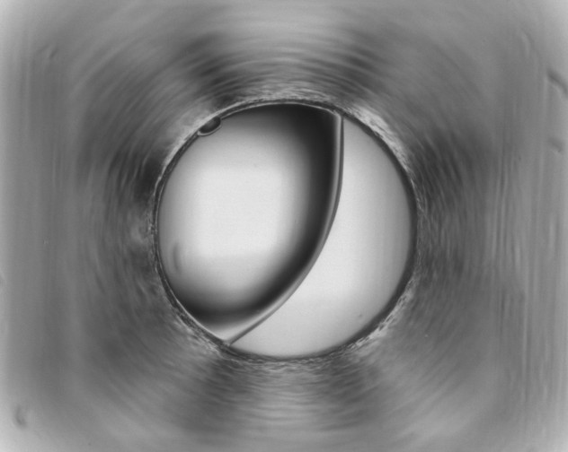 X0000094211089200710260928