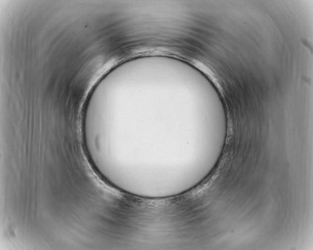 X0000094211090200710260928
