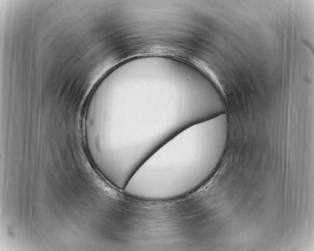 X0000094211091200710260928