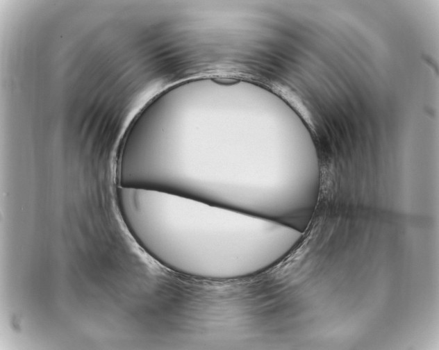 X0000094211099200710260928