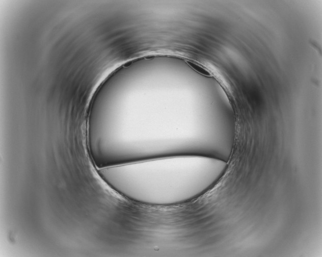 X0000094211100200710260928