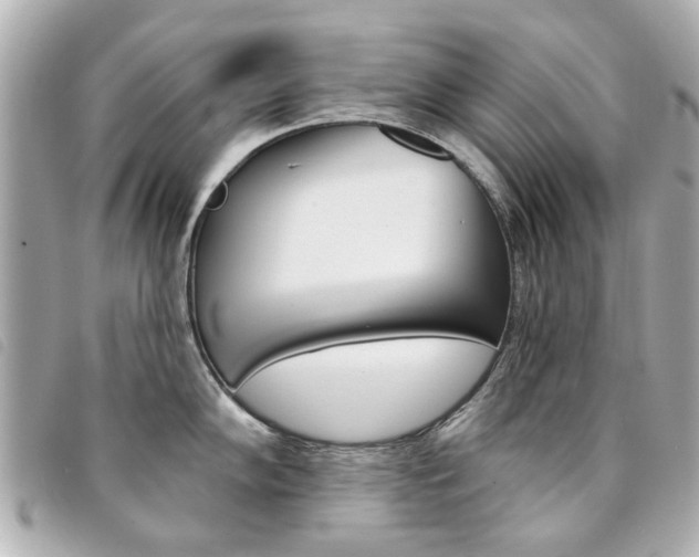 X0000094211102200710260928