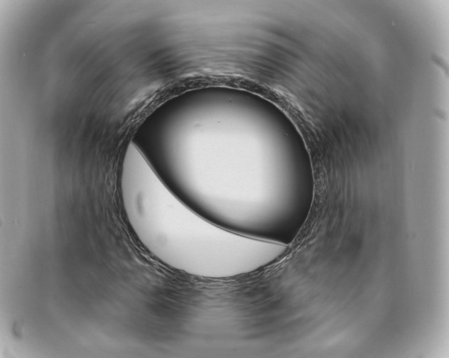 X0000094211110200710260928