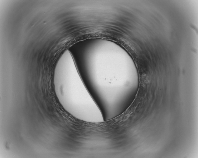 X0000094211111200710260928