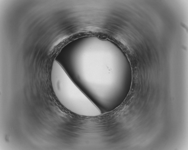 X0000094211112200710260928