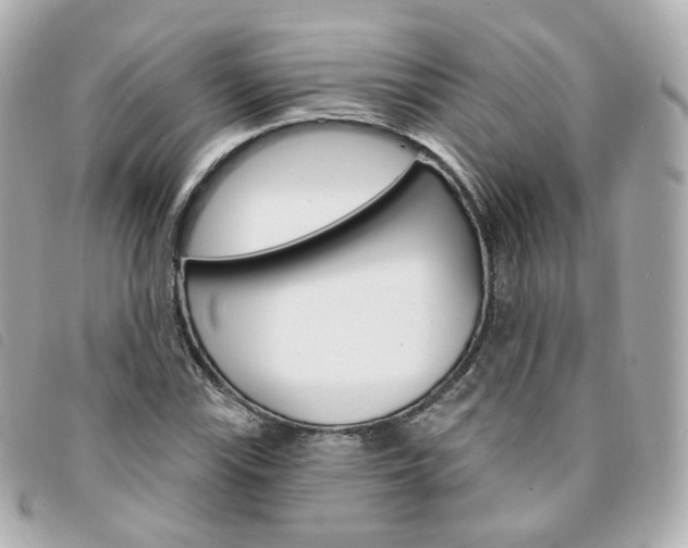 X0000094211115200710260928