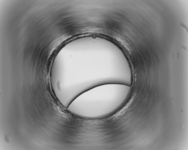 X0000094211117200710260928