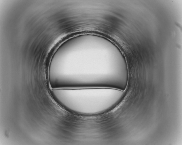X0000094211118200710260928