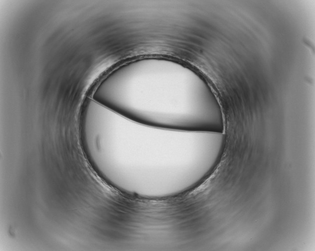 X0000094211119200710260928